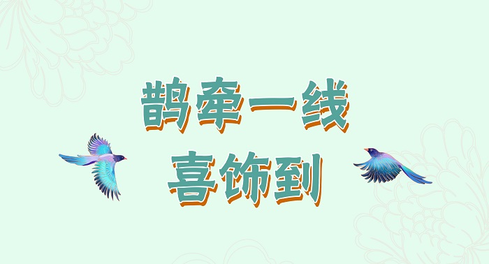 鹊牵一线喜饰到 封面-20.jpg